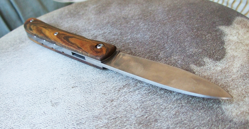 You are currently viewing Pistachier Liner