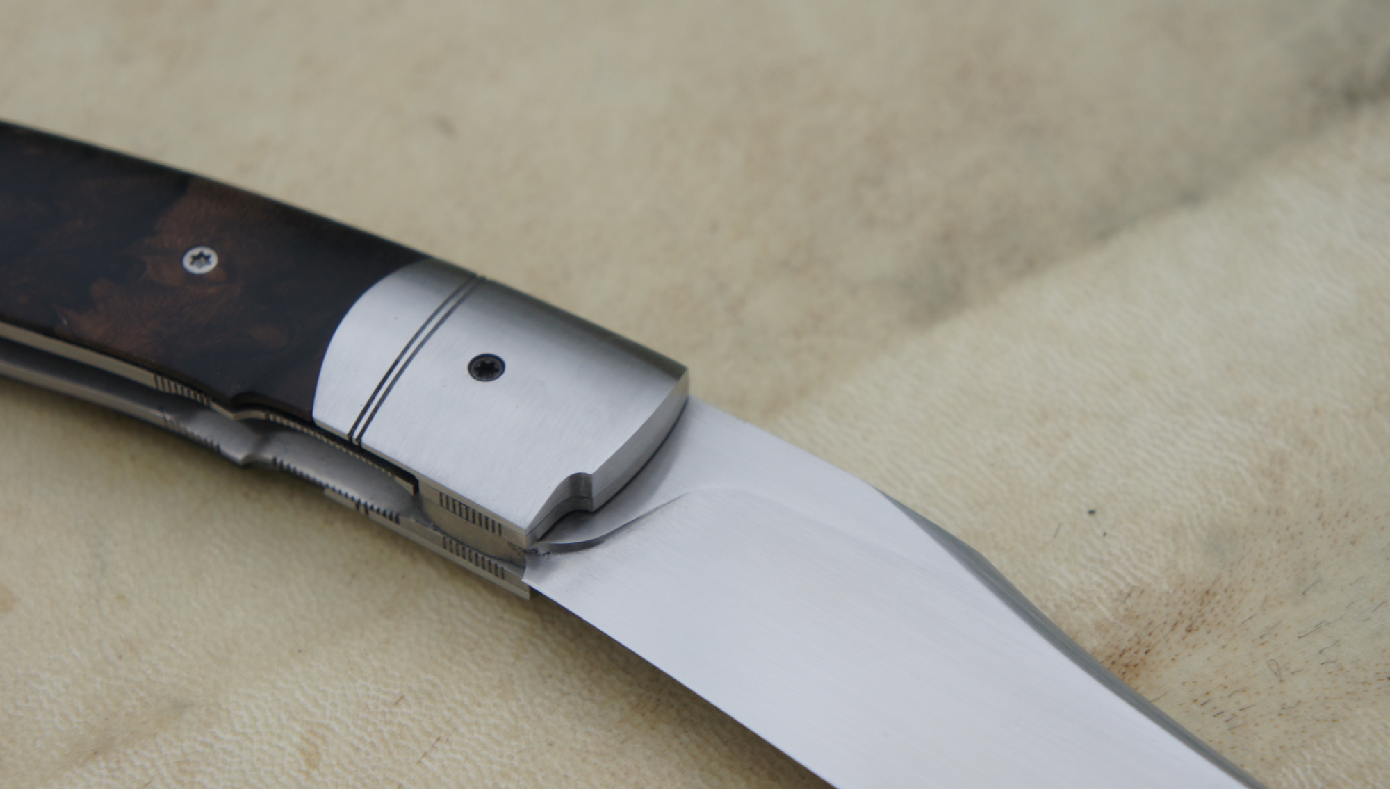 You are currently viewing Alvilda SHV & Ziricote