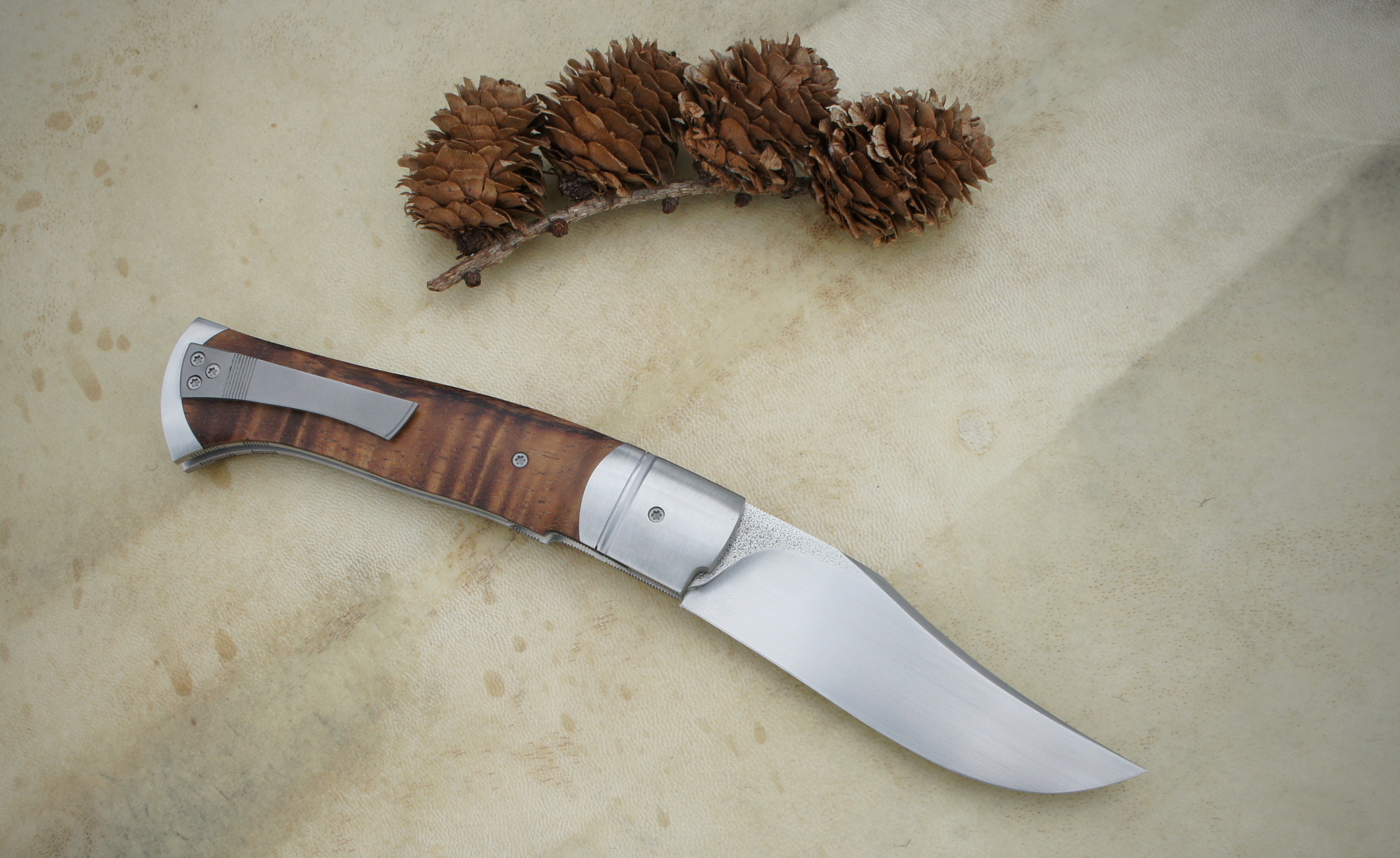 You are currently viewing Alvilda Koa & SHV